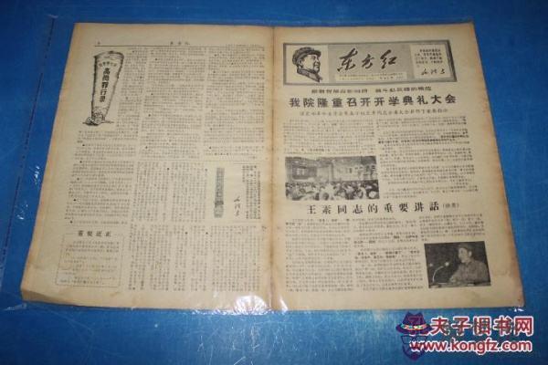 包含1967年10月13日八字算命的詞條