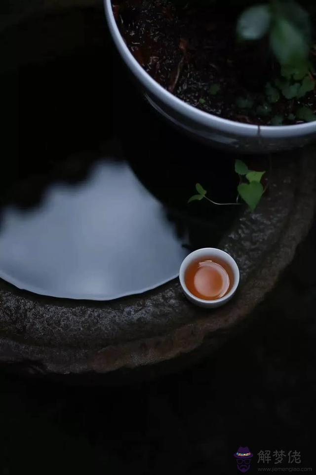 蛇在易經中是什麼意思 蛇在易經中是什麼意思