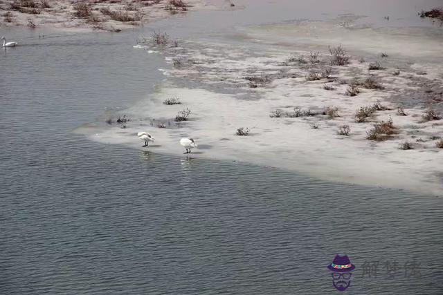 命運總是顛沛流什麼意思