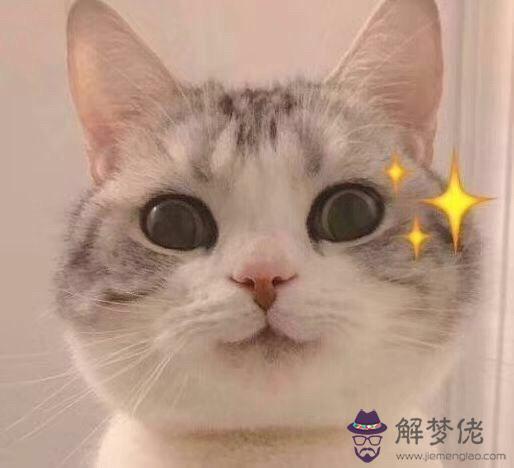 遏制住你命運的后脖頸啥意思 遏制住你命運的后脖頸啥意思