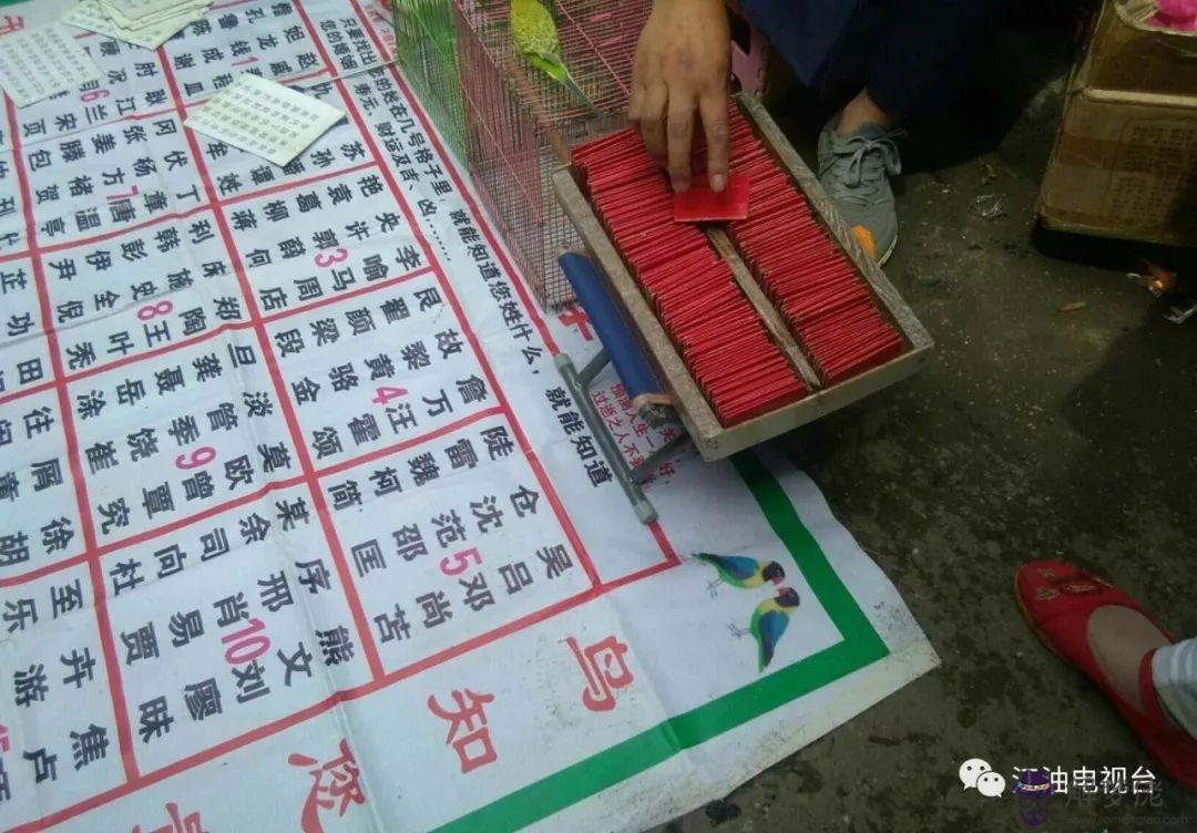 他們說的算八字改是什麼意思的簡單介紹