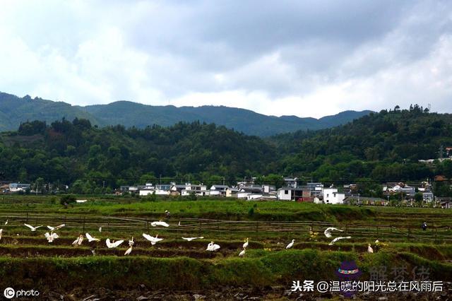 五行八字啥意思 五行八字啥意思