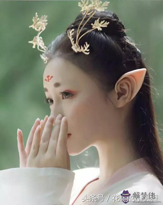 八字看狐貍命格是什麼意思