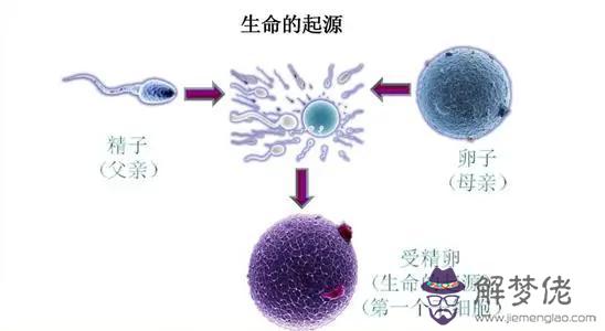 易經中陰陽轉換是什麼意思