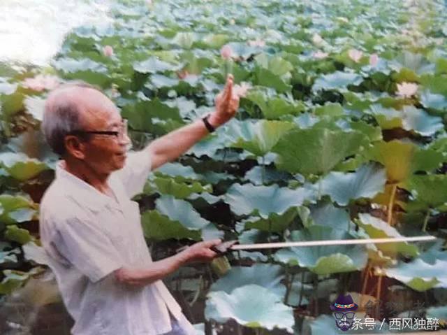 八字中的三星是什麼意思