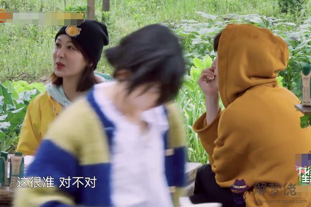 撲克牌算命數字代表什麼意思楊紫 撲克牌算命數字代表什麼意思楊紫