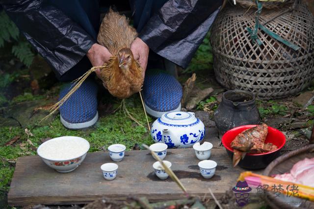 算命雞骨是什麼意思