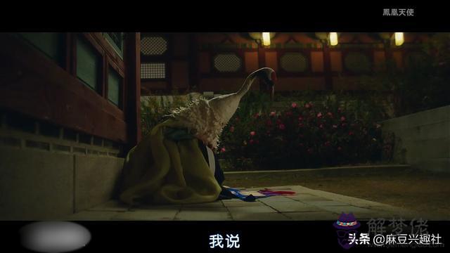算命說宮合是什麼意思是什麼 算命說宮合是什麼意思是什麼