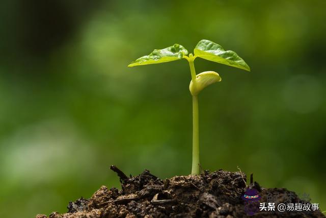 在算命中火代表什麼意思