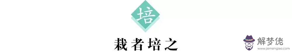 培在八字是什麼意思