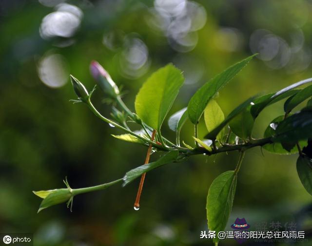 陰歷5月初8生辰八字是什麼意思