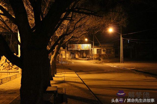 算命先生小說講的什麼意思 算命先生小說講的什麼意思