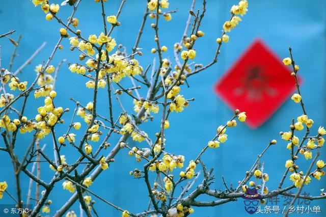 算命的說今年不能結婚什麼意思