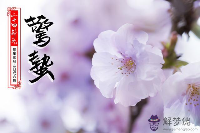 易經驚蟄是什麼意思 易經驚蟄是什麼意思