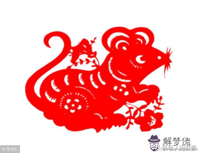 算命流年運勢披麻是什麼意思