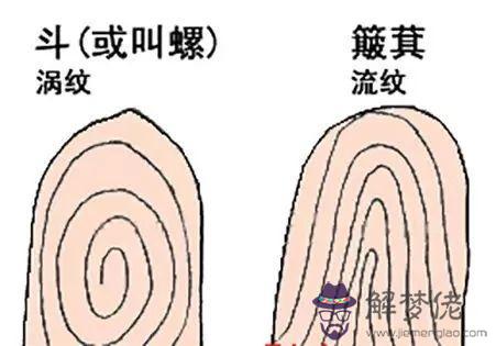 算命說斗性是什麼意思