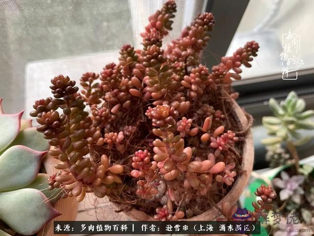 命運使然后面是什麼意思