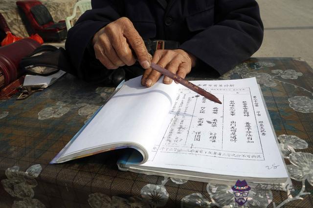 算命天涯游客什麼意思
