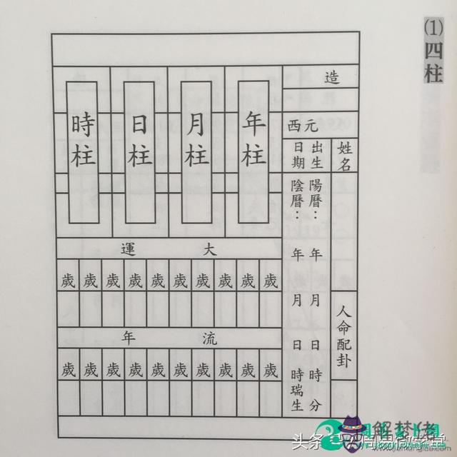 算命中有苗有根是什麼意思