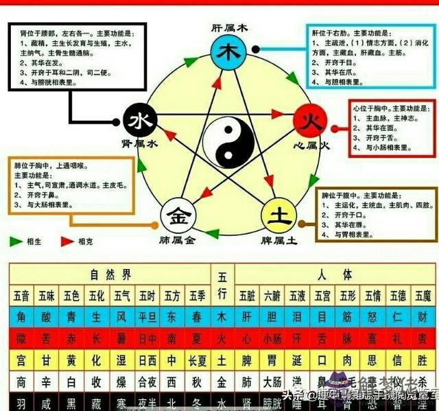 《金木水火土五行查詢表》