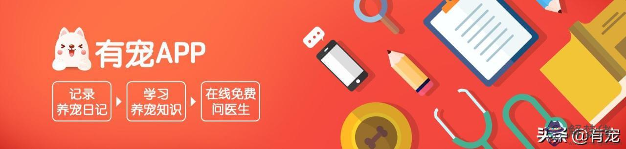 2星座喜歡的寵物是什麼，十二星座適合養什麼貓"