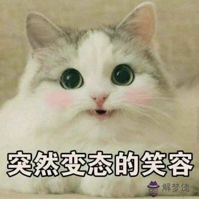 獅子男喜歡沙雕可愛女孩子嗎，感覺獅子男在默默 你