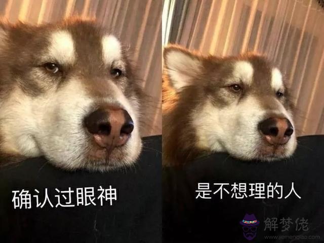 獅子男喜歡沙雕可愛女孩子嗎，感覺獅子男在默默 你