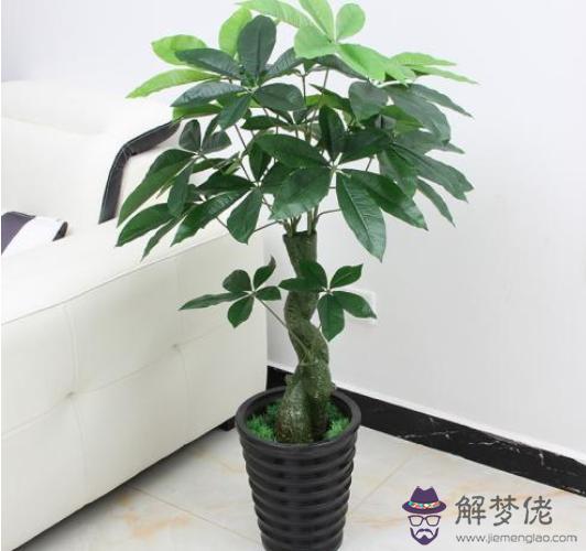 怎麼測自己運氣什麼時候好，抑郁癥前兆十個表現