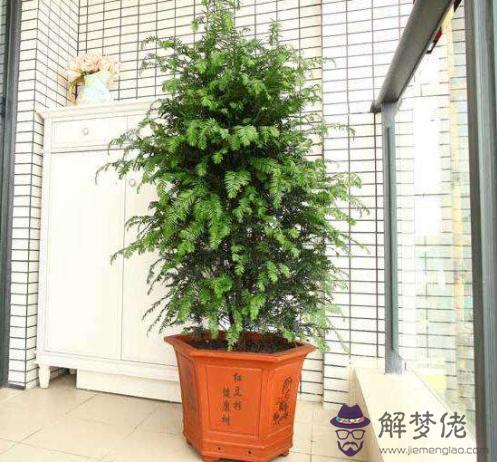怎麼測自己運氣什麼時候好，抑郁癥前兆十個表現