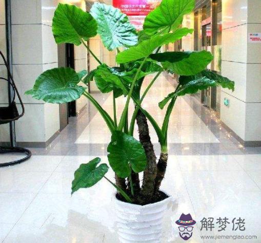 怎麼測自己運氣什麼時候好，抑郁癥前兆十個表現
