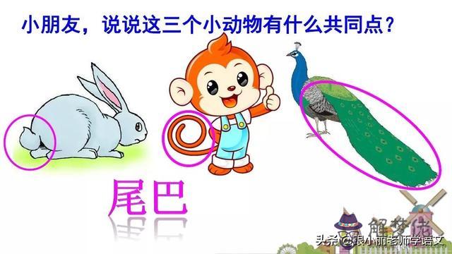 美偏旁是八字頭嗎 美偏旁是八字頭嗎