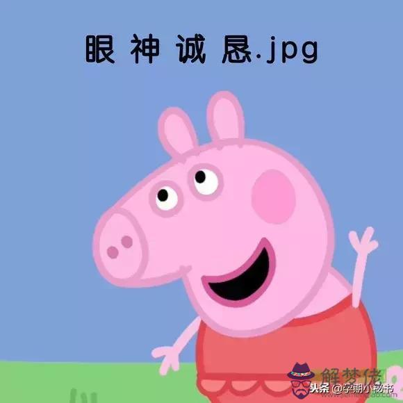 生肖豬八字土命取名用什麼字