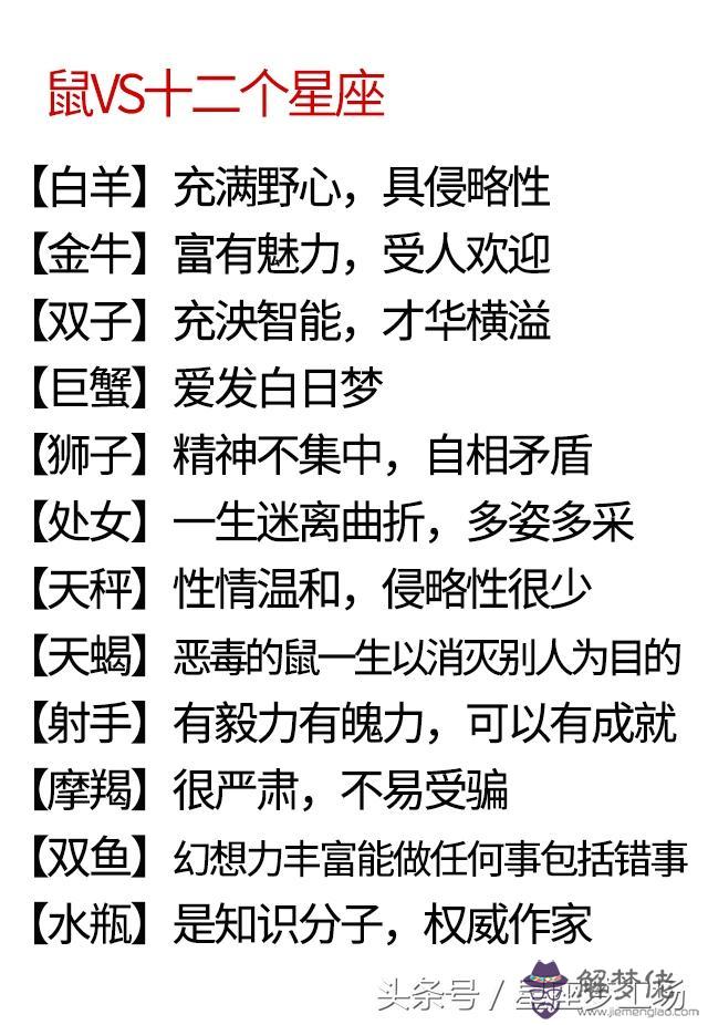 男女星座生肖配對，12生肖配對查詢表
