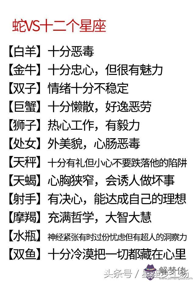 男女星座生肖配對，12生肖配對查詢表