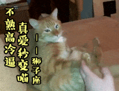 獅子男的真愛是哪個星座，獅子座第幾任是真愛
