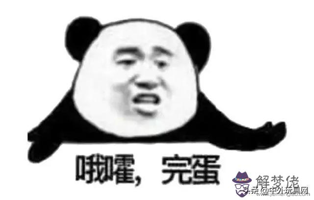 八字環龍王恨聚酯纖維