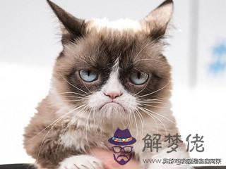 雙魚座成熟的四個階段，雙魚座是隱藏最后的BOSS嗎