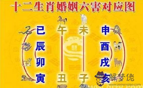 乙亥日柱男命缺點，己亥日柱男命好不好