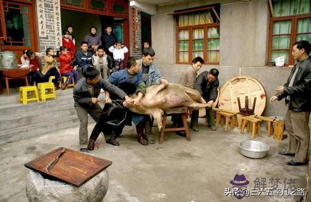 2021年是不是己亥年