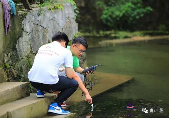 心系人類命運營造生命綠洲意思