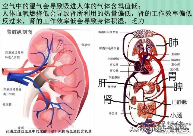 辛丑年年運如何