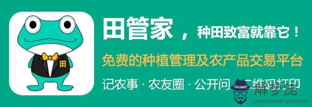 結婚看日子是看屬相還是看八字