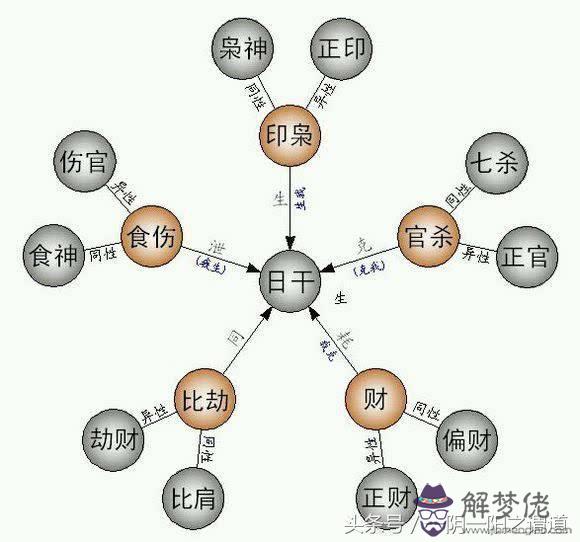 八字入門基礎知識整理