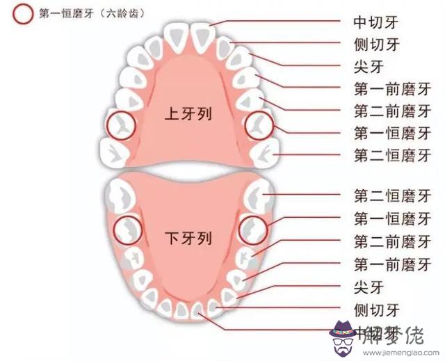 校內人人批八字