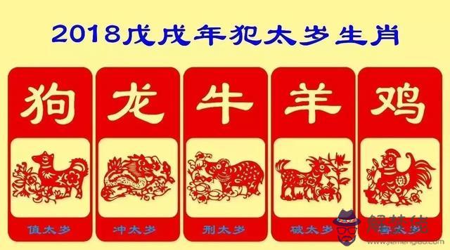 八字算2019年流年運勢