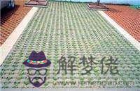 八字植樹磚每一平方多少錢