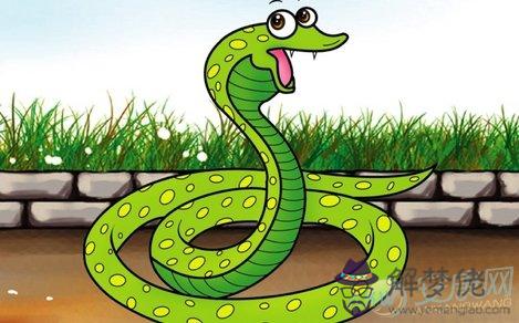 2、屬蛇和屬蛇的人婚配如何:屬蛇的和屬蛇的婚姻相配嗎？