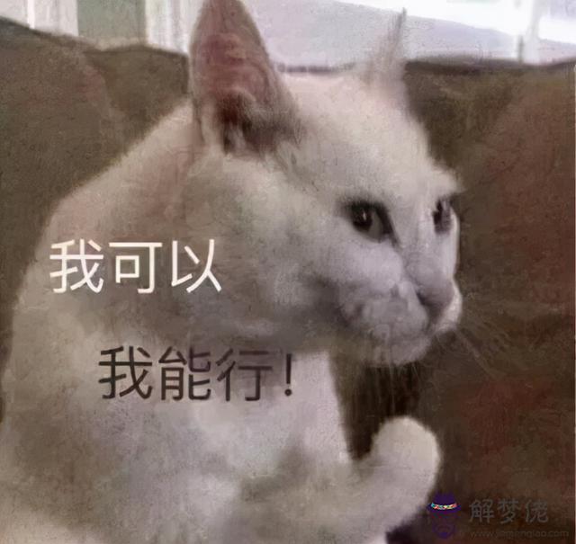 鼻孔倒八字好嗎