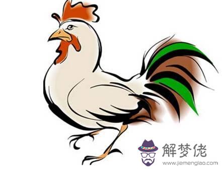 生肖雞運勢差怎麼辦