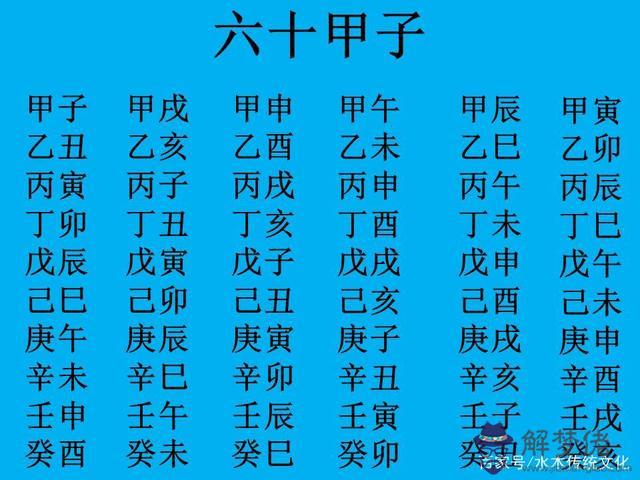 八字月柱查詢